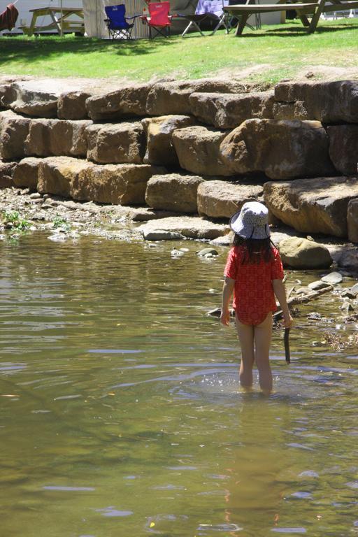 Big4 Wye River Holiday Park Экстерьер фото